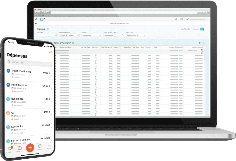 Importez Automatiquement Vos Notes De Frais Dans Sap